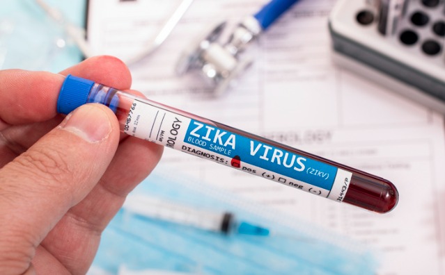 Deficiência Decorrente Do Vírus Zika: Direitos Sociais Trazidos Pela Lei 15.156/2025