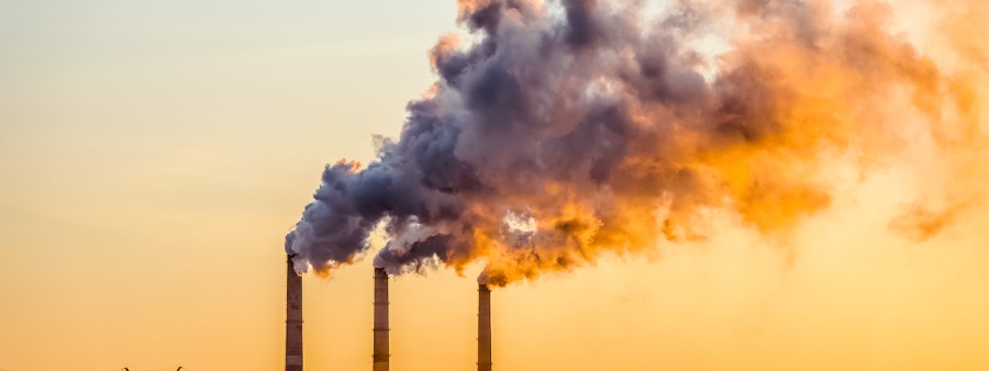 ADI 7.795, créditos de carbono e princípio do poluidor (e emissor) pagador