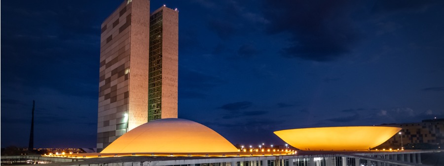 Lei Inconstitucional – Comunicação Ao Senado Federal – Suspensão De Execução De Leis Estaduais E Municipais, De Carlos Medeiros Silva