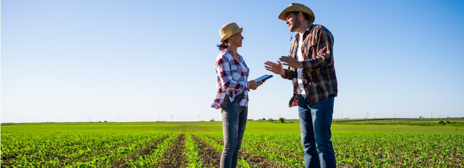 Crédito Rural Digital: a tokenização no agronegócio