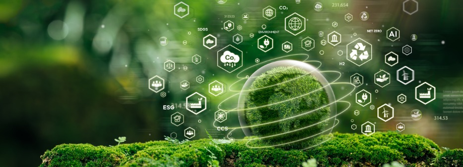 Sustentabilidade e cadeias contratuais