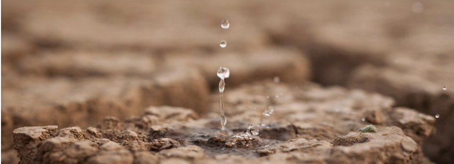 “Pintou um clima” na Constituição Cidadã