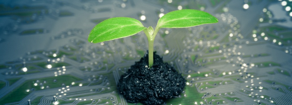 Meio ambiente, clima e a assim chamada poluição digital ou informacional