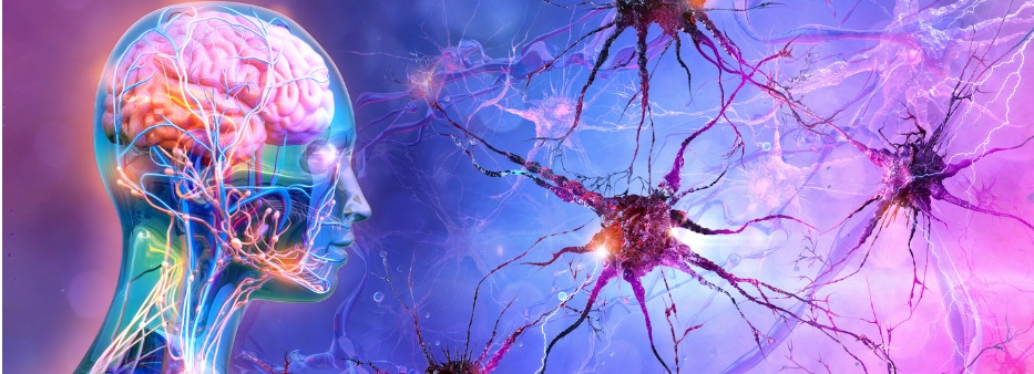 Proteção dos dados neurais diante das neurotecnologias