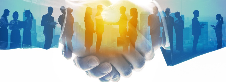 A previsão contratual de direitos em sociedades limitadas