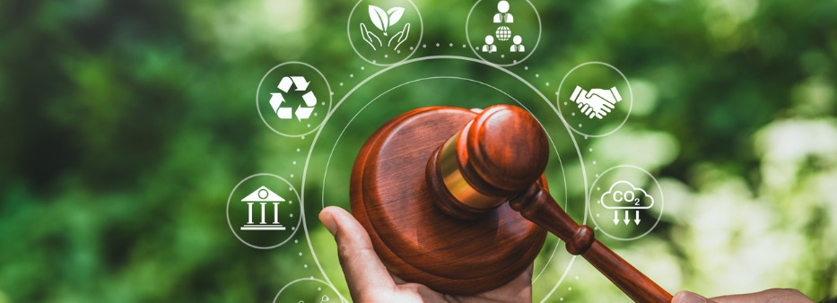 Direito Ambiental e Climático em 2025: uma breve retrospectiva
