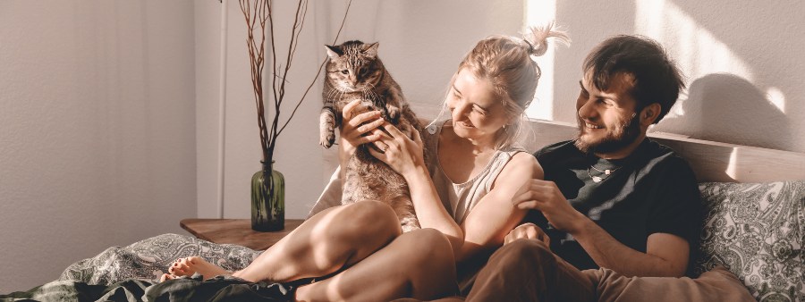 A proteção dos animais nas separações: deveres dos tutores.