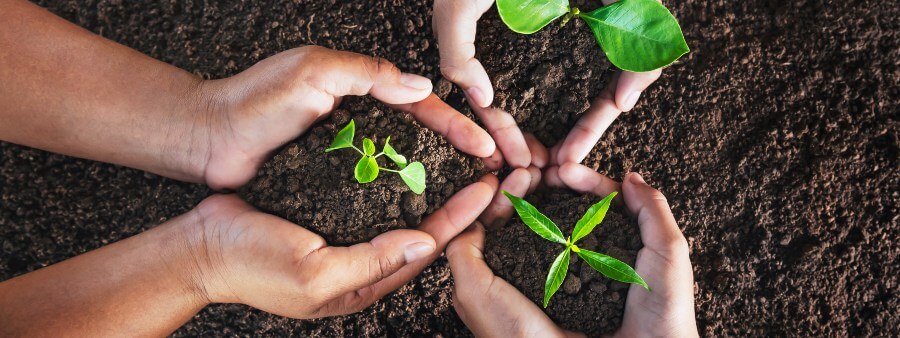 O Catecismo da Ecologia e a antecipação do Direito Ambiental no sistema de justiça brasileiro