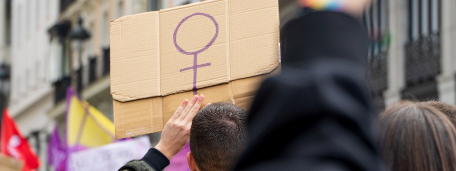 A violência de gênero | Aspectos gerais. Tratados. Lei Maria da Penha. A lei do “não é não”. O fim dos benefícios gerais penais ao agressor sexual (Leis n. 15.160/2025 e 15.280/2025)